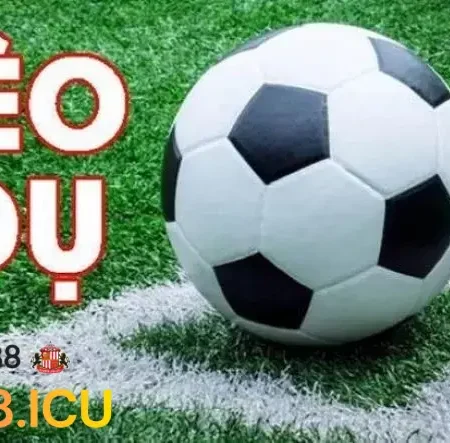 Nhận Biết Các Loại Kèo Dụ Mà Người Chơi Dễ Mắc Phải
