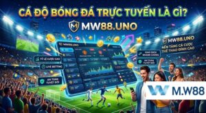 Cá độ bóng đá trực tuyến là gì? Trải nghiệm đặt cược thể thao an toàn với tỷ lệ cược cao qua ứng dụng W88 Mobile.