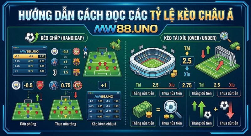 Hướng dẫn cách đọc các tỷ lệ kèo châu á chi tiết và cách tính tiền thắng cược qua Link M.W88.